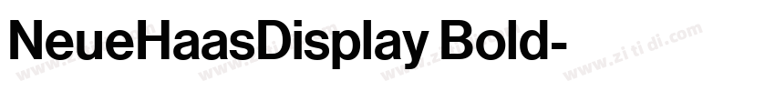 NeueHaasDisplay Bold字体转换 NeueHaasDisplay Bold字体转换